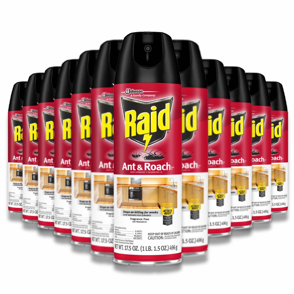 Raid - Ant And Roach Killer Aerosol Spray, Fragance Free - 17.5 Oz - 12 Pack